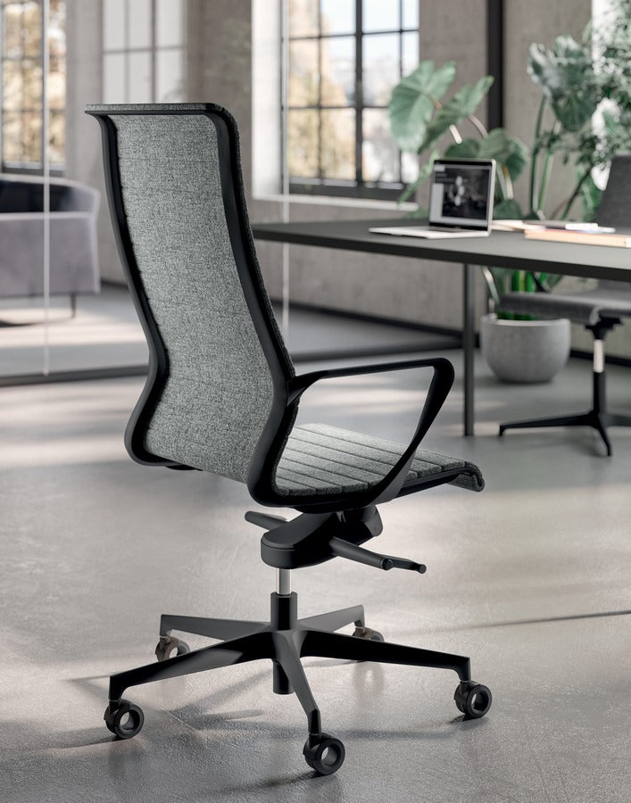 Dinamica y Dinamica Soft