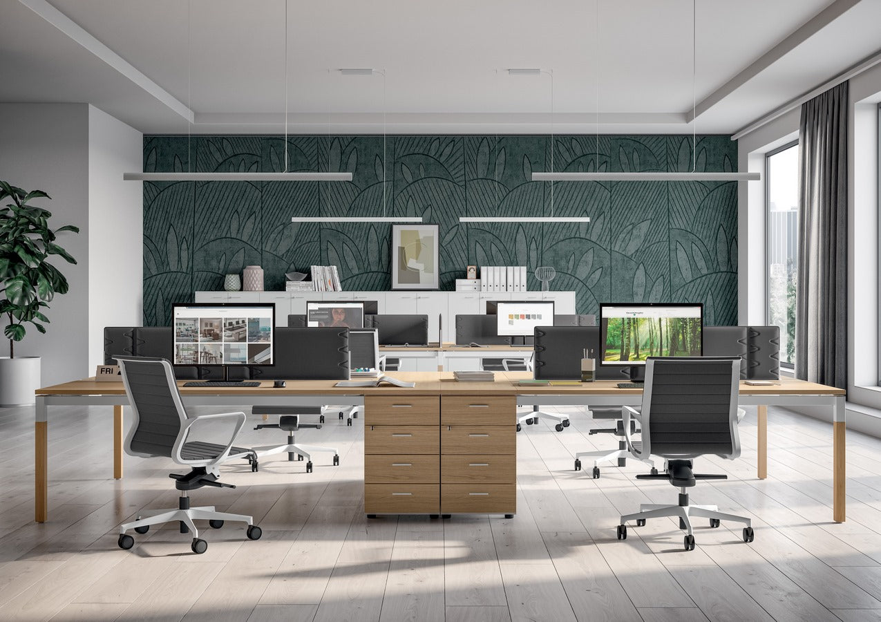 Dinamica y Dinamica Soft