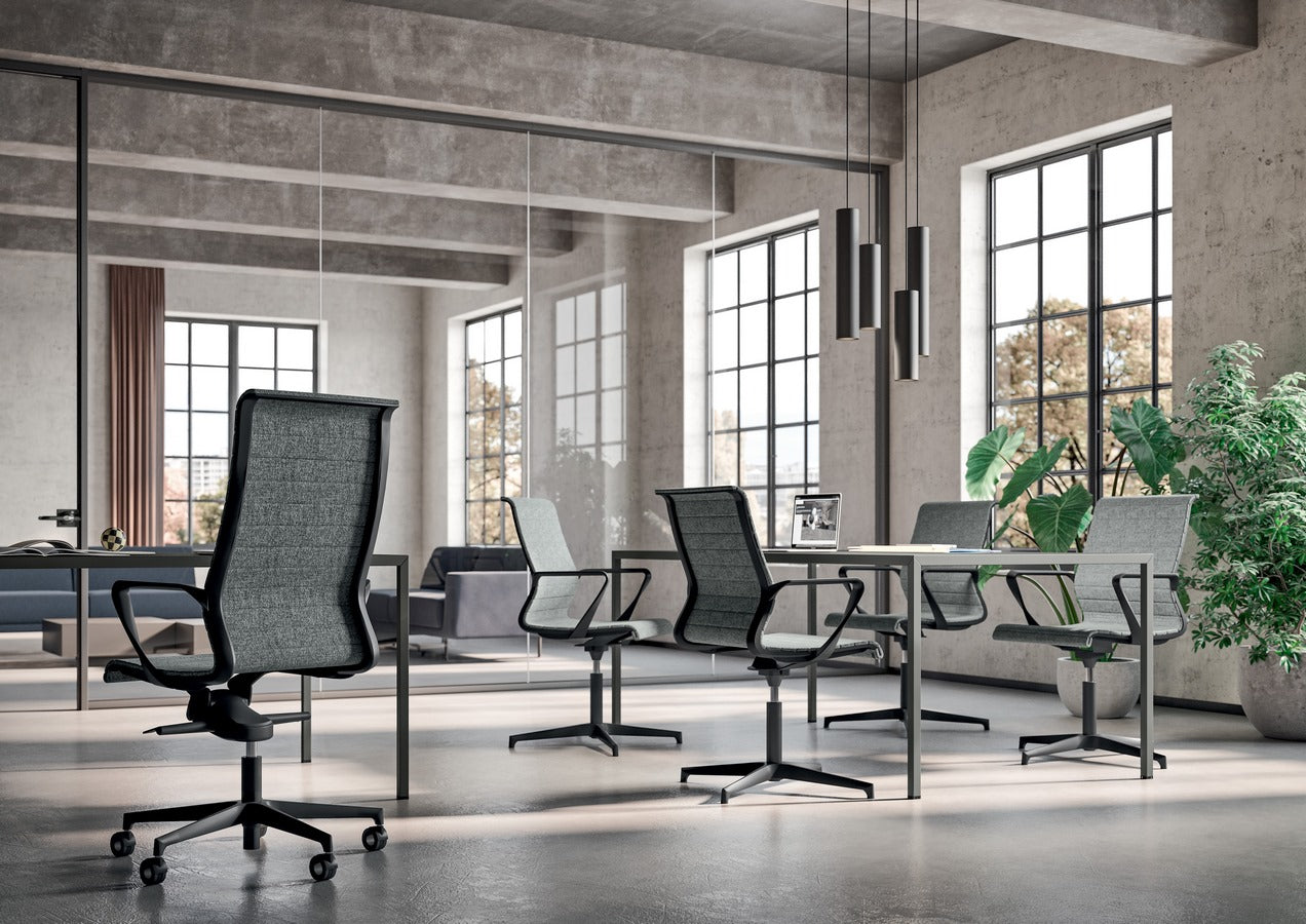 Dinamica y Dinamica Soft