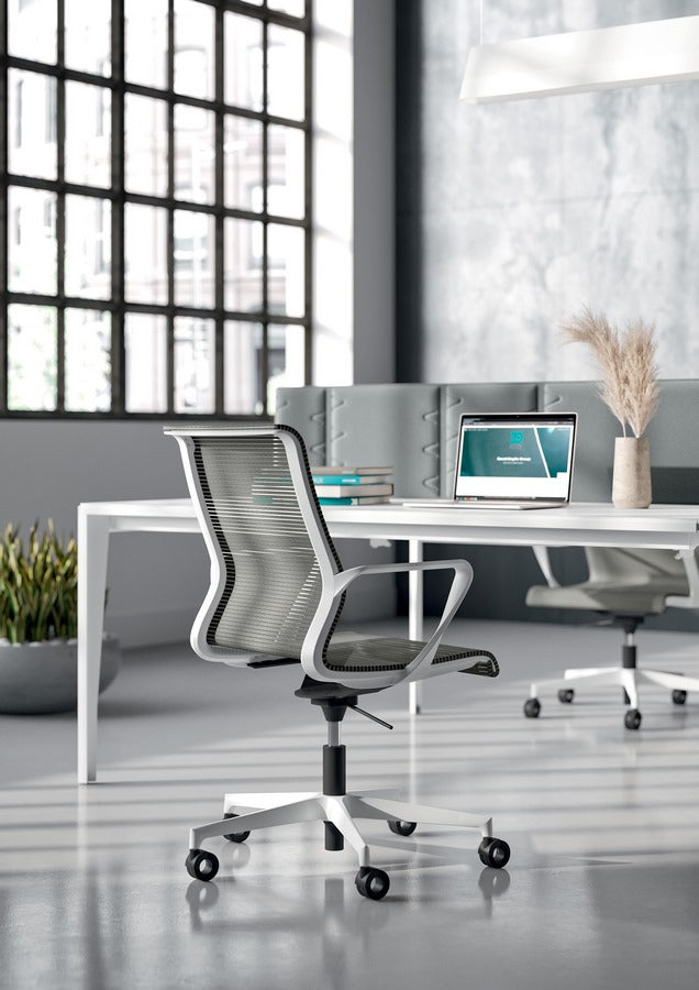 Dinamica y Dinamica Soft