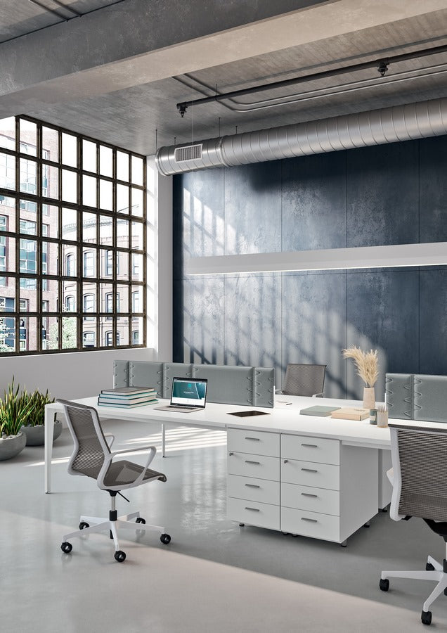 Dinamica y Dinamica Soft